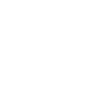 Francois Hagen GSAP Skill.