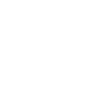Francois Hagen WordPress Skill.