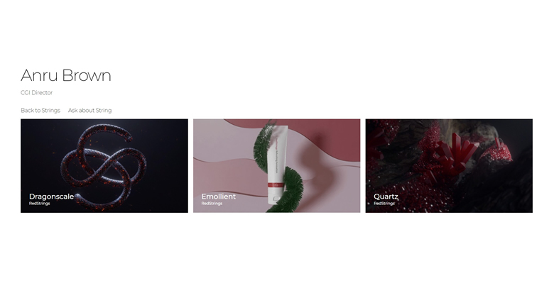 WooCommerce and WordPress Red Strings Development portfolio gallery image 2