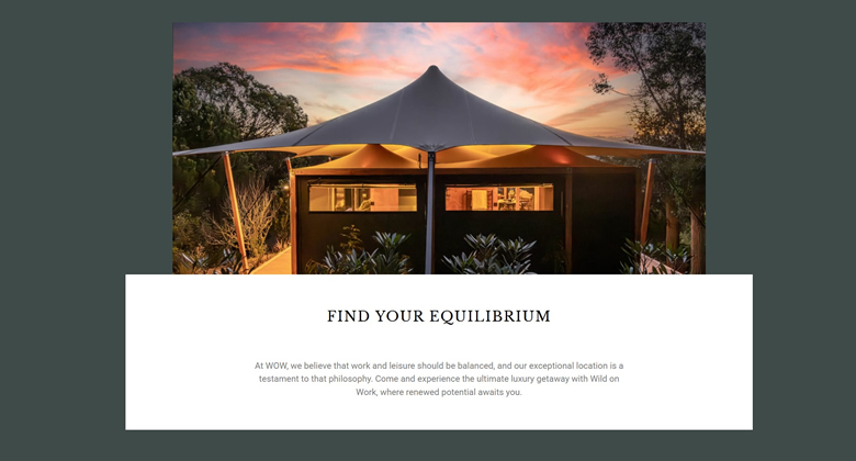 WooCommerce and WordPress Wild on Work Development portfolio gallery image 1