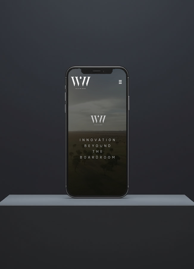 WooCommerce and WordPress Wild on Work Development portfolio responsive image 2