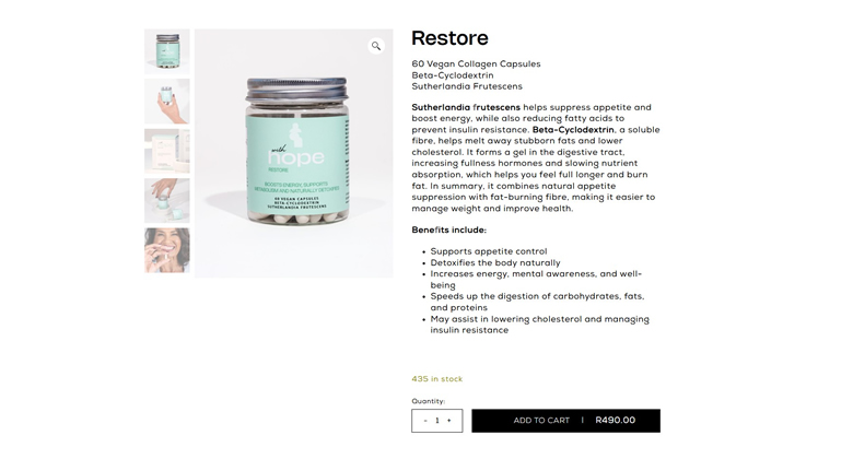 WooCommerce and WordPress With Hope Development portfolio gallery image 4