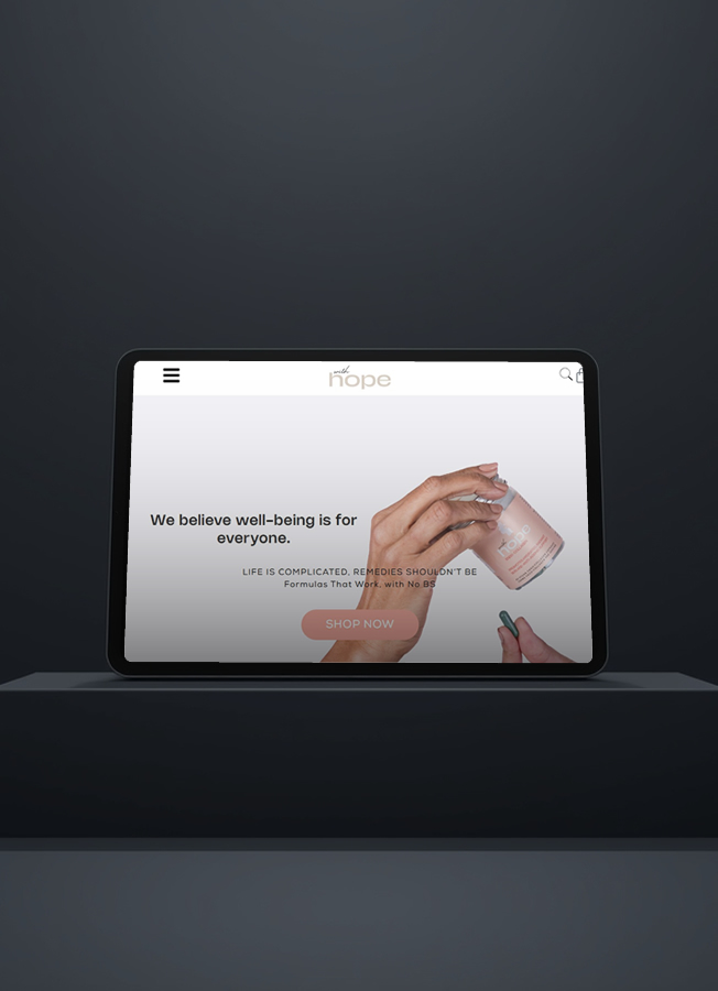 WooCommerce and WordPress With Hope Development portfolio responsive image 3