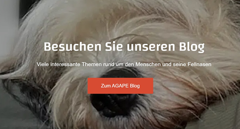 WooCommerce and WordPress Agape Pet Development portfolio gallery image 5
